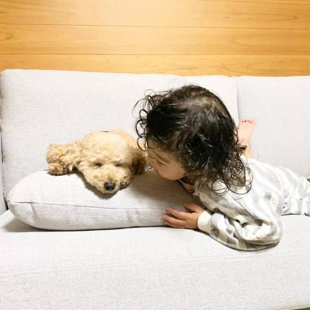  [睡觉]日本小女孩每天和狗狗一起睡觉引千万网友围观这才是晒娃晒宠物的最高境界