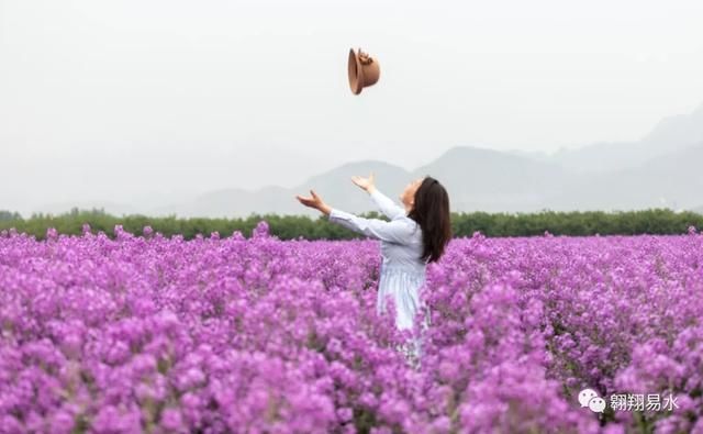  「同赏」母亲节，送花不如赏花，伴母同赏芍药花