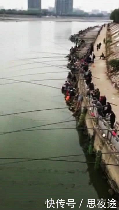 中国长江是否该禁钓鱼?禁渔期,仍有大量钓鱼人江边垂钓，鱼获惊人