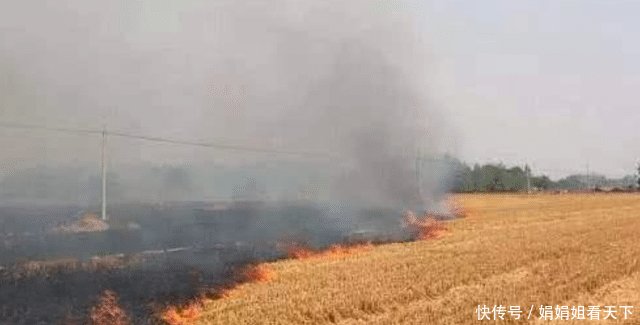  「天气」黑龙江不允许烧农作物秸秆，今天的雾霾天气是怎么形成的