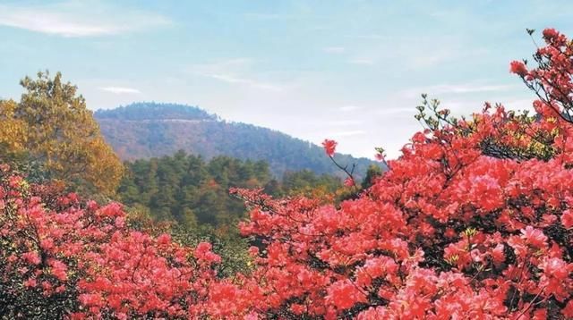  「攻略」2020年最强放假攻略！你准备什么时候来敬亭山？