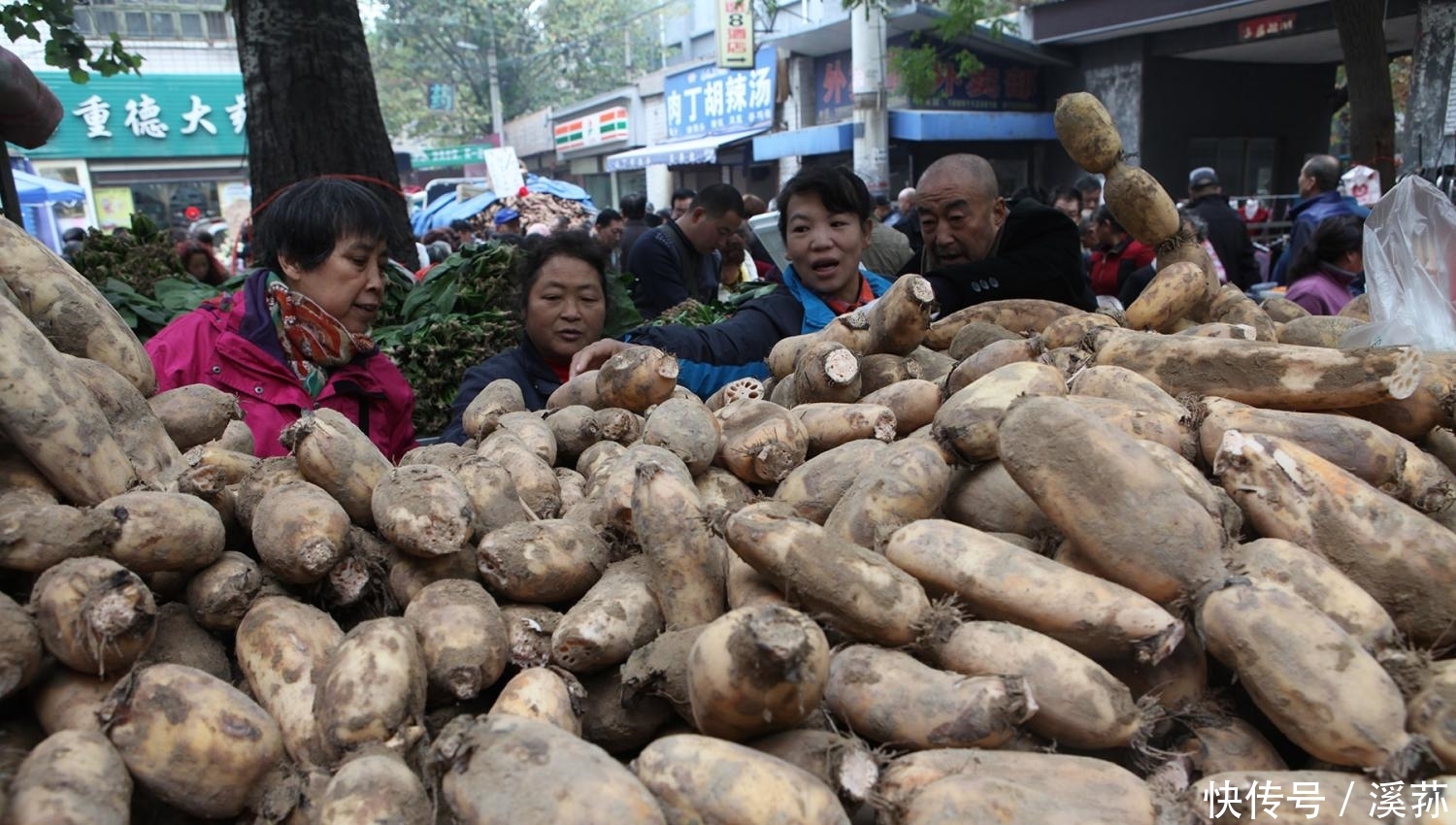 一家三口贩莲菜日入千元 供俩孩子读书