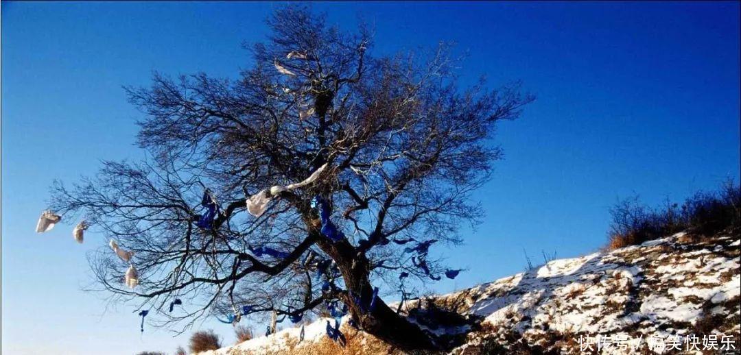 世界史上最大帝国的首都在内蒙古?看看如今是啥样!