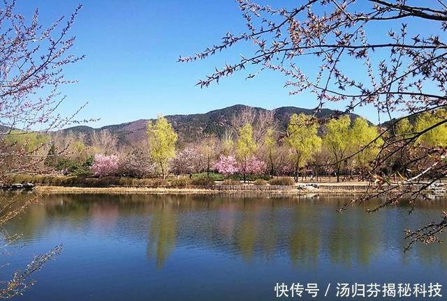  「清明节」清明节夜钓小河沟，捡到1根鱼竿，用它垂钓鱼咬钩，不用不咬钩