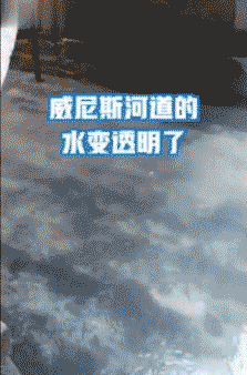  【试试】每日易起:褒贬不一的赛博皮卡 有多少人想试试?