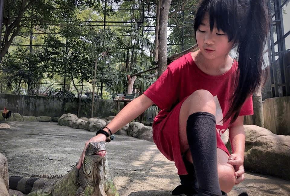  『吴速玲』曹格庆祝老婆吴速玲41岁生日，文案令人感动，结婚11年感情依旧