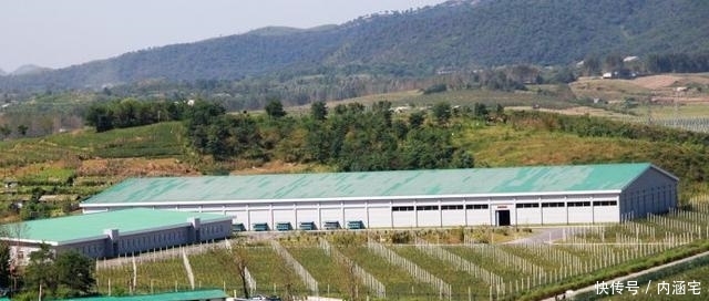  【世外桃源】朝鲜有个地方, 按构想建成一个“社会主义世外桃源