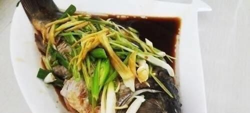 区别：野生鲤鱼与养殖鲤鱼你能区别出来吗？