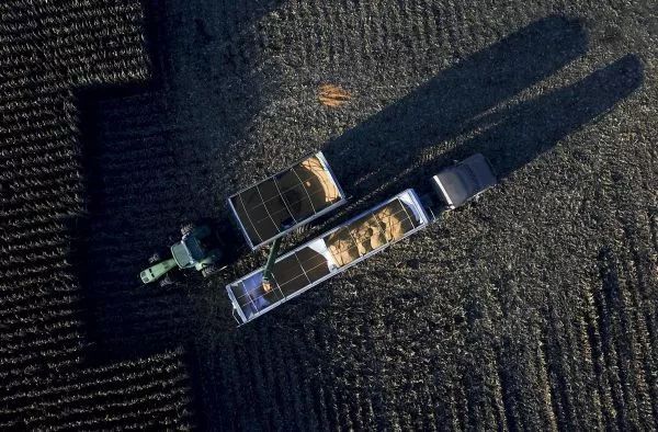  「种植」美国农民破产量创8年来最高水平，原因是……