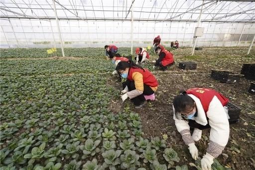  影像|战“疫”中的杭州，你没见过的影像