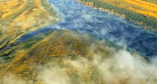 亚马逊雨林有一条神秘的河流，河水常年沸腾，动物掉进去被煮熟！