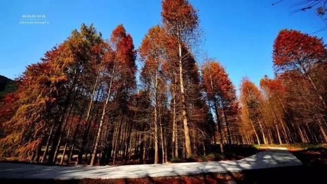 当浙江遇上“世界级风景” 本省朋友可以不用出国旅游啦！