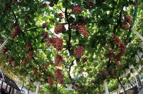 畅游中国·内蒙古之山海沙城乌海