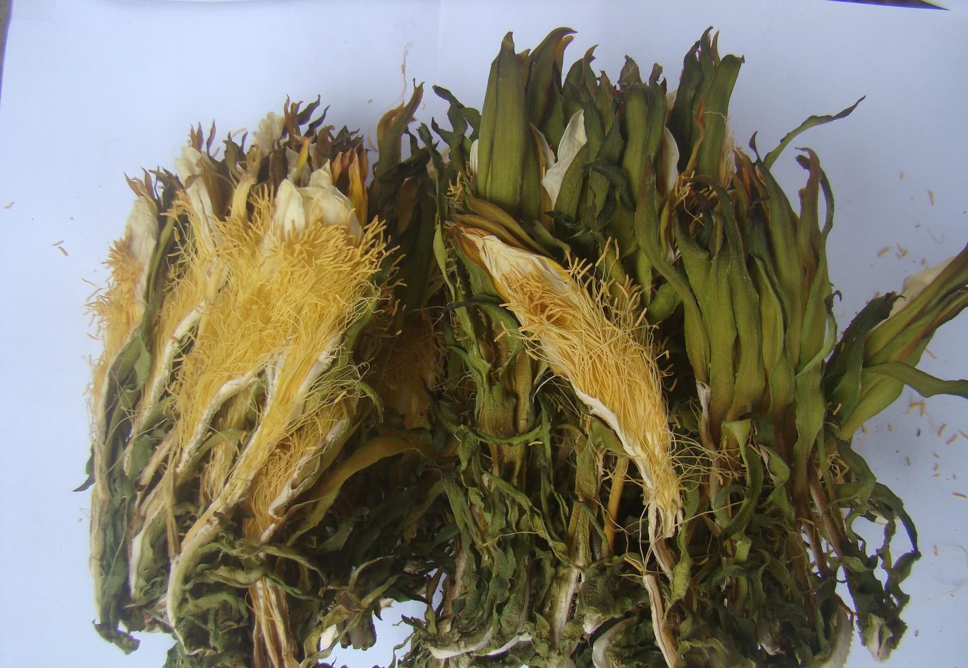 这种果树的花比果实更值钱,晒干后200元一斤,