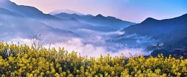 江苏最冷气温多少