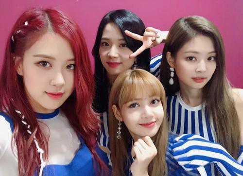 杨幂的彩色脏辫好时髦 Angelababy的也超俏皮