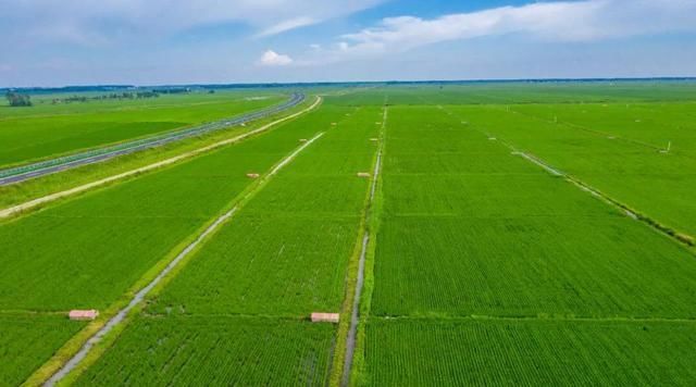  「被打」农村土地疯狂“退租潮”的背后，有多少专家被打脸