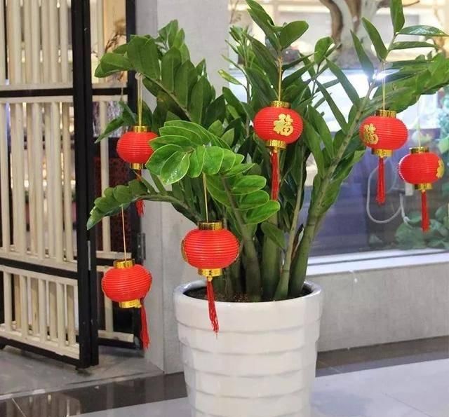  [有钱]这八种花命里带金，越养越有钱，你确定不来一盆吗？