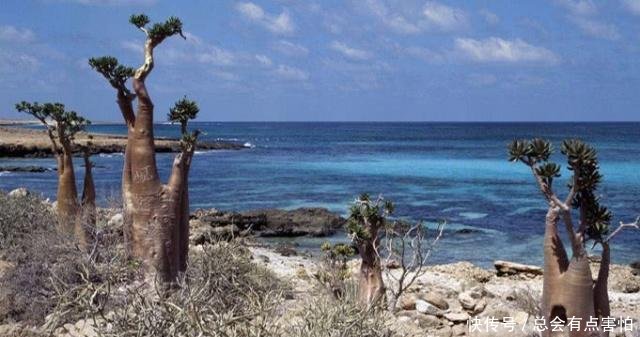 这块大陆被称为“外星世界”，已存在近2000万年，魅力独特！