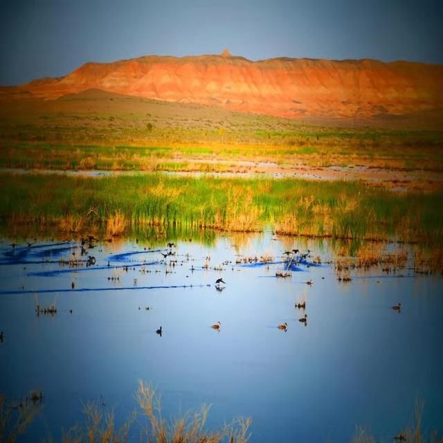 绿洲之城：祁连山下的灵秀高台