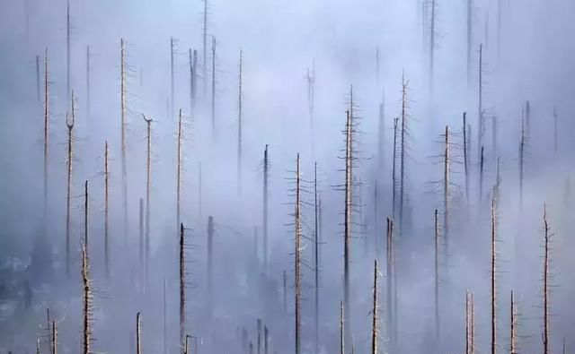 一位患有色盲症的摄影师，拍出了不一样的照片