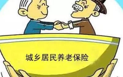  个人账户■每年交2000元城乡居民养老保险，十五年后每月能拿这