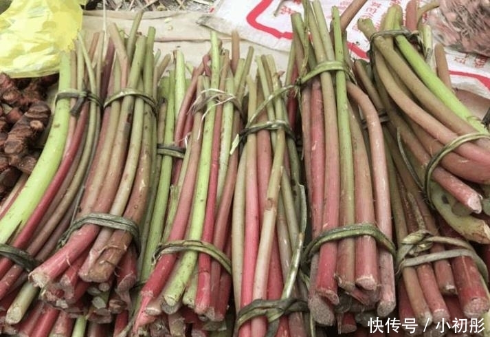  药用价值：农村这种叫酸杆子的植物，小孩经常采来吃，其实它药