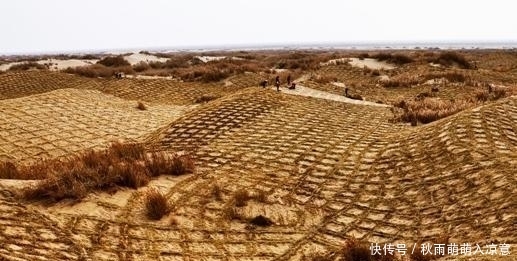 了不起! 中国治沙人 每天喝掉十几斤水, 治沙成就让世界都叹服