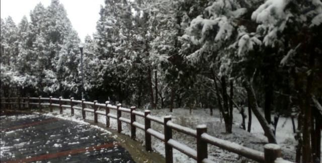  「承包」那些去农村承包山头搞养殖的人，现在怎样了？