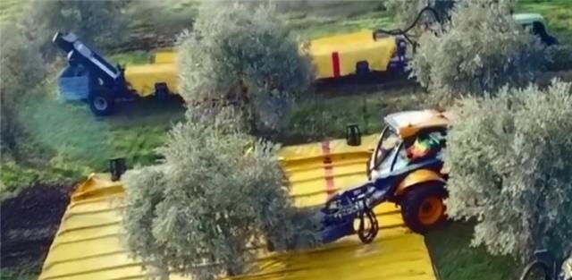 德国机械有多牛？采摘水果全用机器，一天可抵50个果农！