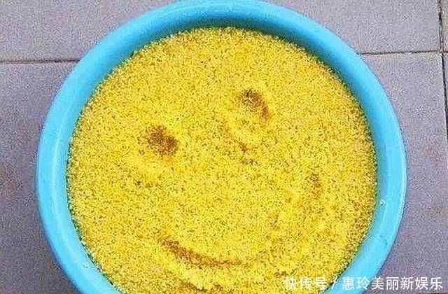  「高效」怎么打窝才能快速高效的诱鱼？