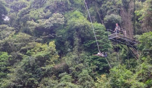 世界垂直落差最高丛林飞跃，就在广东此景区内，比清迈的还要刺激
