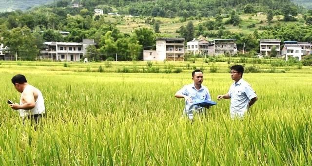  「女方」农村妇女离婚，户口怎么处理，土地会收回吗？注意3种情