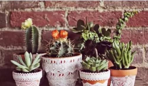  [蕾丝]百变蕾丝，N种蕾丝DIY改造，我最喜欢第3种，最后一种也很惊艳！