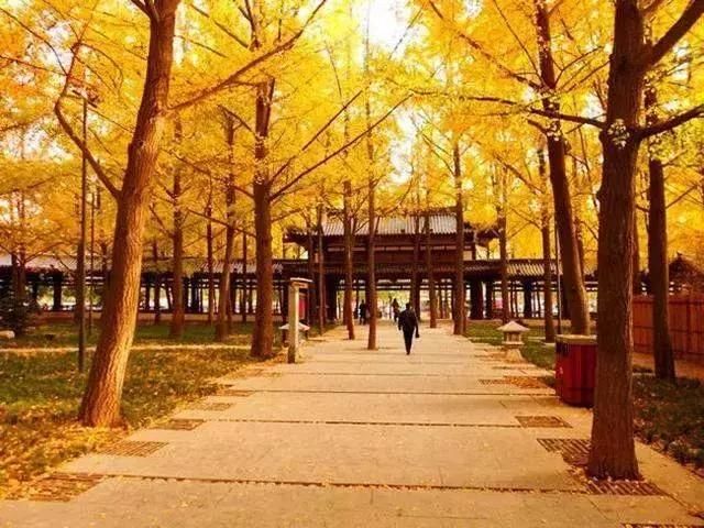 《延禧攻略》竟把陕西的陕西灵秀美景藏了进去！