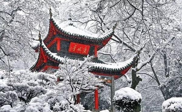 一起出发吧为什么看不了