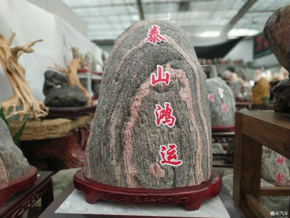  『色彩纷呈』【4月，你好】花花世界 色彩纷呈 赏心悦目