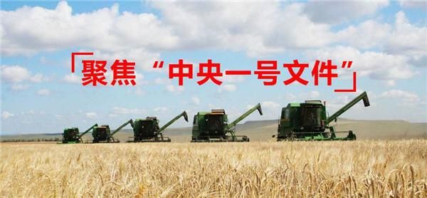 中央一号文件：乡镇一级领导班子，应当从何入手响应“全面发展”