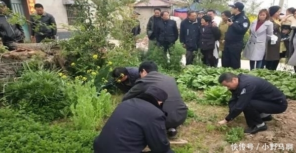  「罂粟」注意，农村3样东西已禁止种植，违者罚款入刑农民要避免