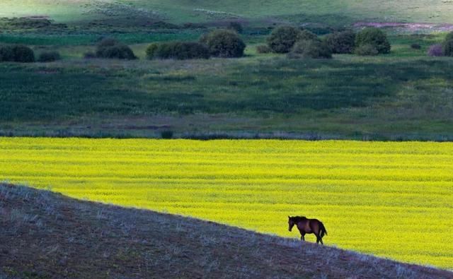 喜欢自驾吗？这十条线路你一定有喜欢的