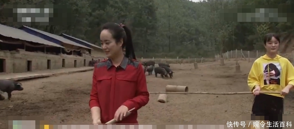  没想到|姐妹俩为帮父亲还债，便决定回家养猪，没想到成功致富，