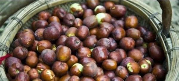 『当地人』中国3座用水果命名的城市,一座比一座甜,当地人为何吐槽不断?