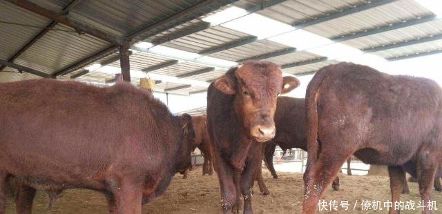 这三个行业前景很好，已经有人赚到钱了，你觉得怎么样