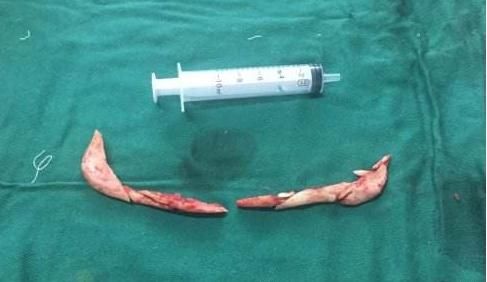 圆圆的大饼脸也能有精致的妆容？别逗了！》