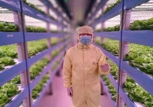  产品|植物工厂：90％不盈利，但产品符合消费趋势，未来价值可期
