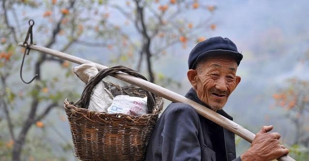  土地流转@给中国60岁以上农民每月发放1000元退休金，应该是个好