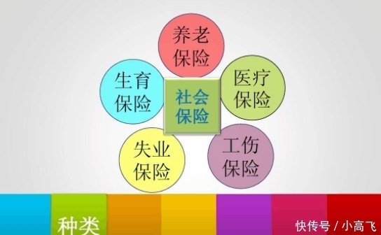  「养老金」社保已连续交十五年, 还不到退休年龄不再交了行吗