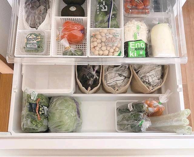 「冰箱」冰箱就是这样用的,保鲜时间是原来的两倍!你不必每天都买蔬菜。你也可以每天吃新鲜蔬菜