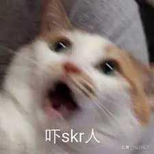 中国砸250亿建全球最大酒店 拥2.8万间房壕过迪拜