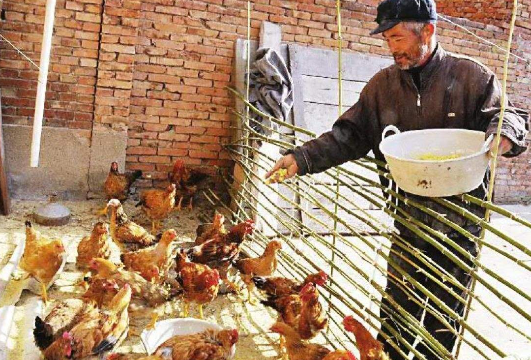 为什么现在很多农村老人，不愿意去城里生活？老农说出背后的原因